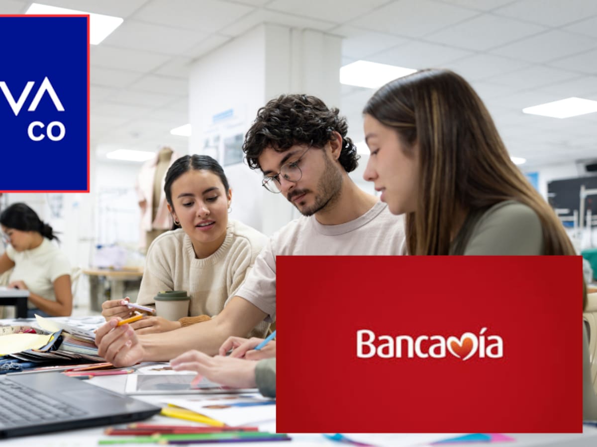 BBVA y Bancamía abren convocatorias para hijos de microempresarios vulnerables: Conozca cómo aplicar