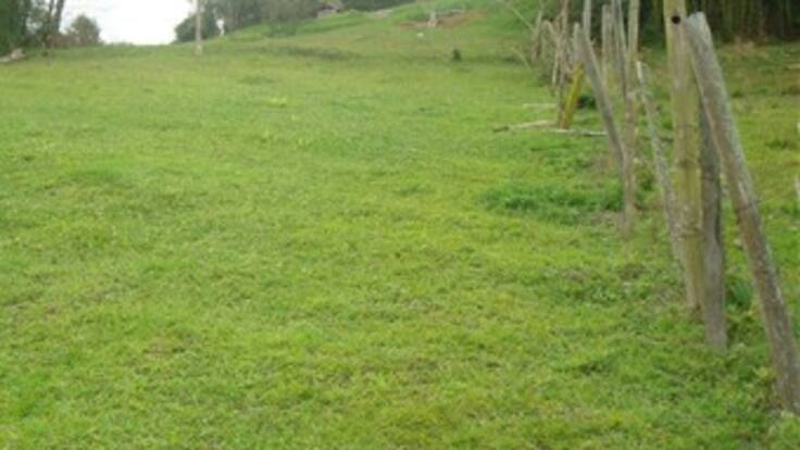 Reclamante de tierras fue asesinado en las últimas horas por sicarios en Antioquia