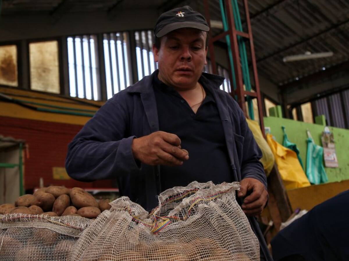 Estos son los peajes en Boyacá donde encontrarán productores de papa