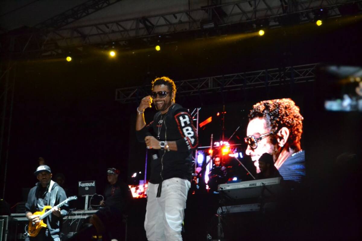 El evento emula la celebración alemana del Oktoberfest, un mes dedicado a beber cerveza y comer salchichas tradicionales del país.