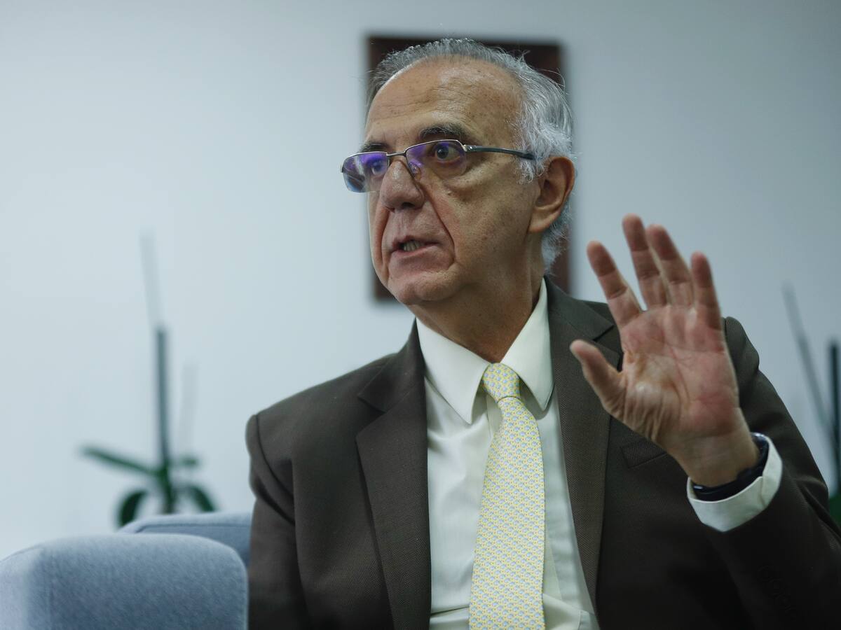 Mindefensa: “El decreto del día cívico no afecta a la democracia ni tampoco es autoritario”