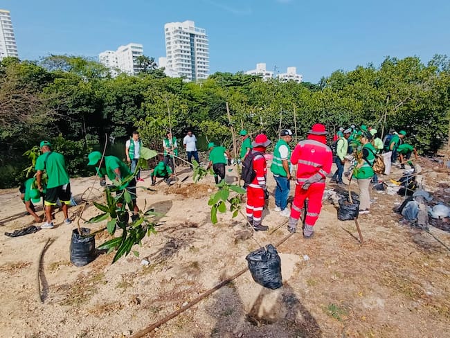 Alcaldía de Cartagena