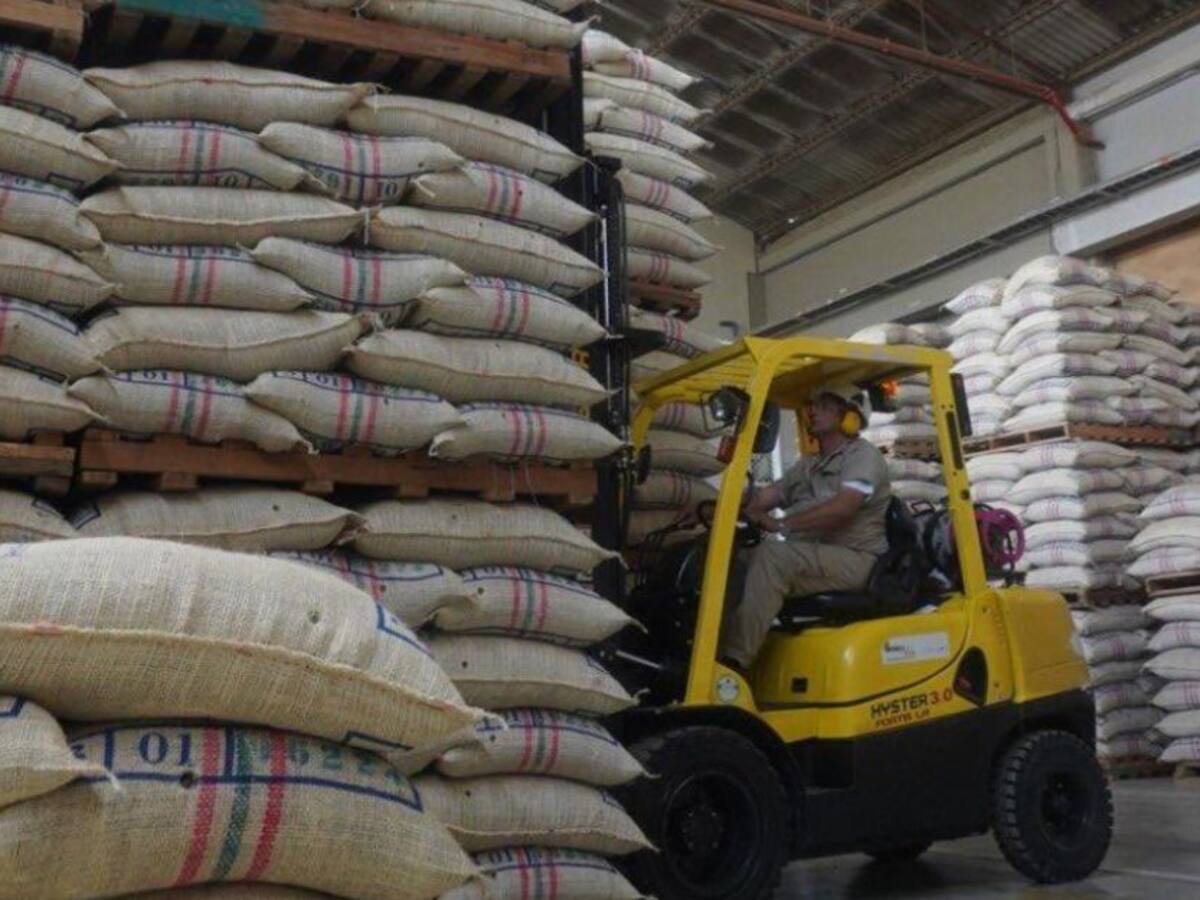 Cosecha cafetera en Risaralda podría dejar $500 mil millones en ganacias