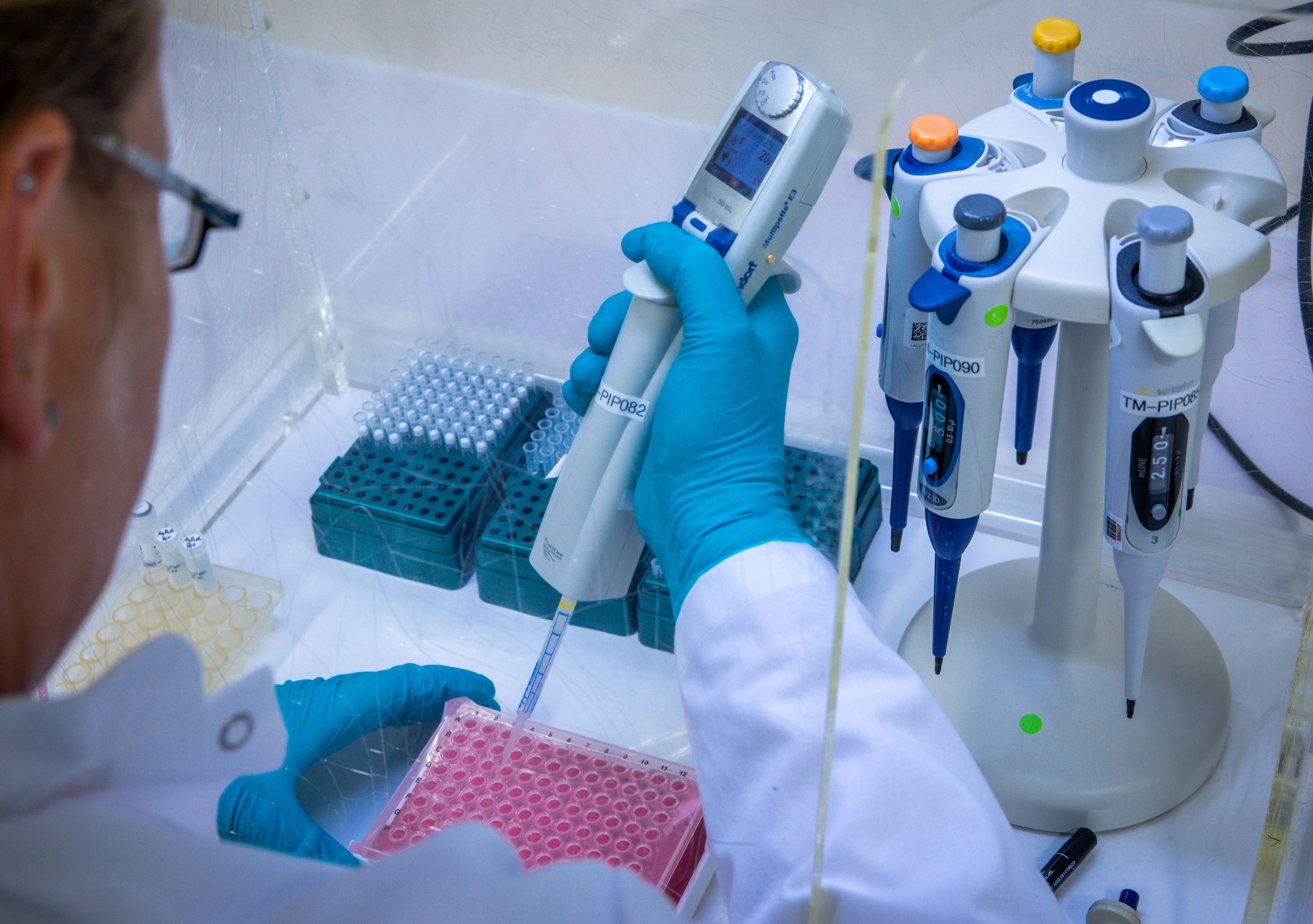 La terapia de ARN podría atender mutaciones que causan desde distrofia muscular hasta algunos tipos de cáncer.
(Foto:   Jens Büttner/picture alliance via Getty Images)