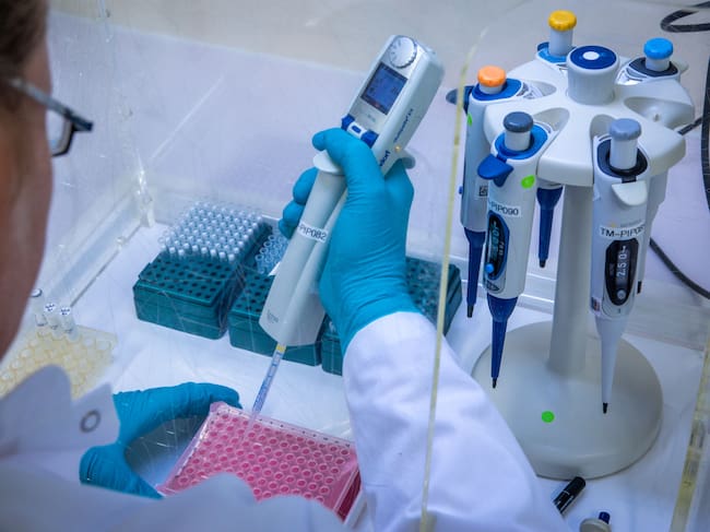 La terapia de ARN podría atender mutaciones que causan desde distrofia muscular hasta algunos tipos de cáncer.
(Foto: Jens Büttner/picture alliance via Getty Images)