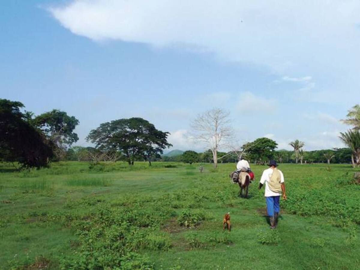 Proyecto de ley del gobierno limita la propiedad de tierra de extranjeros en Colombia
