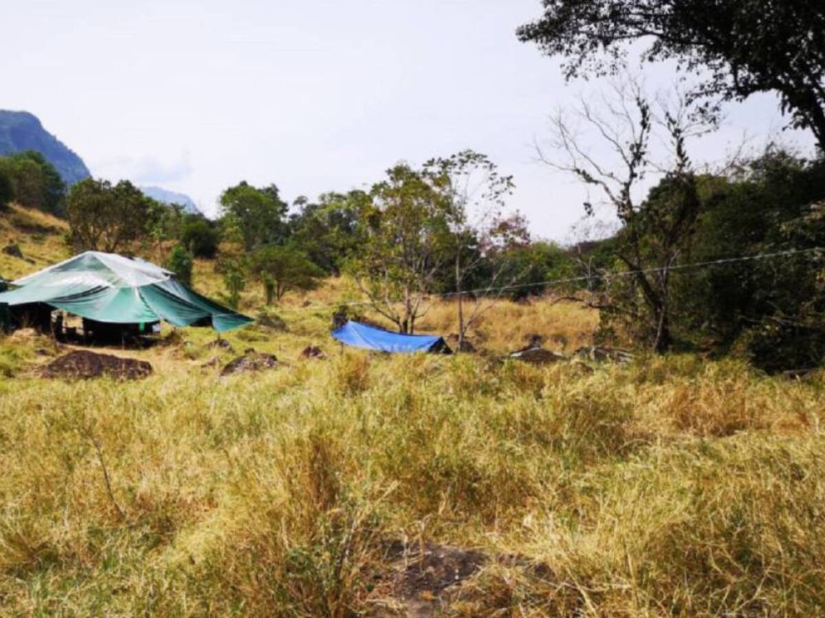 ANLA suspende visita para licencia ambiental al proyecto minero Quebradona