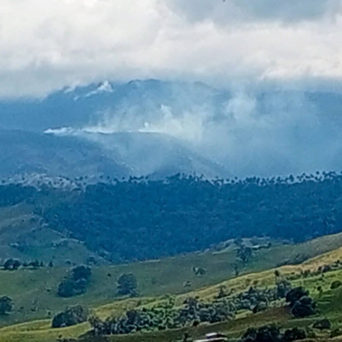 Controlan incendio forestal en los Valles de Normandía en Tolima