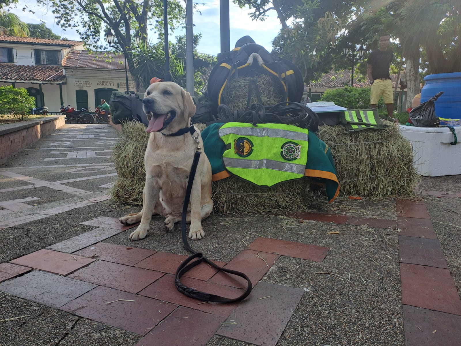 'Kiara' terminó su servicio activo en la Policía Nacional en el Tolima