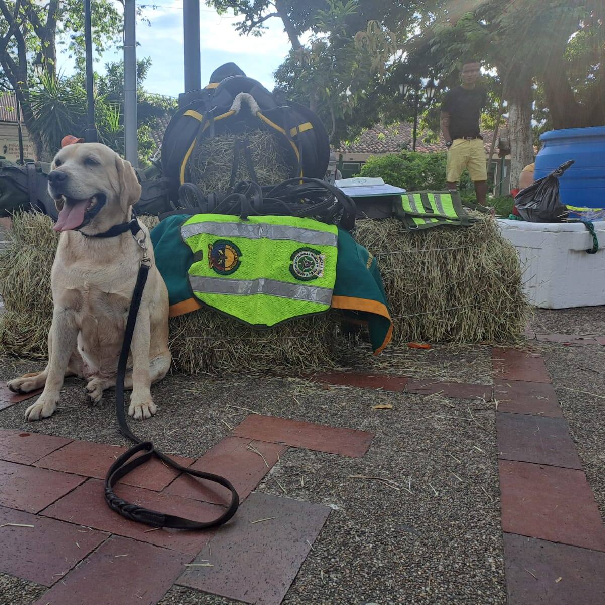 ‘Kiara’ terminó su servicio activo en la Policía Nacional