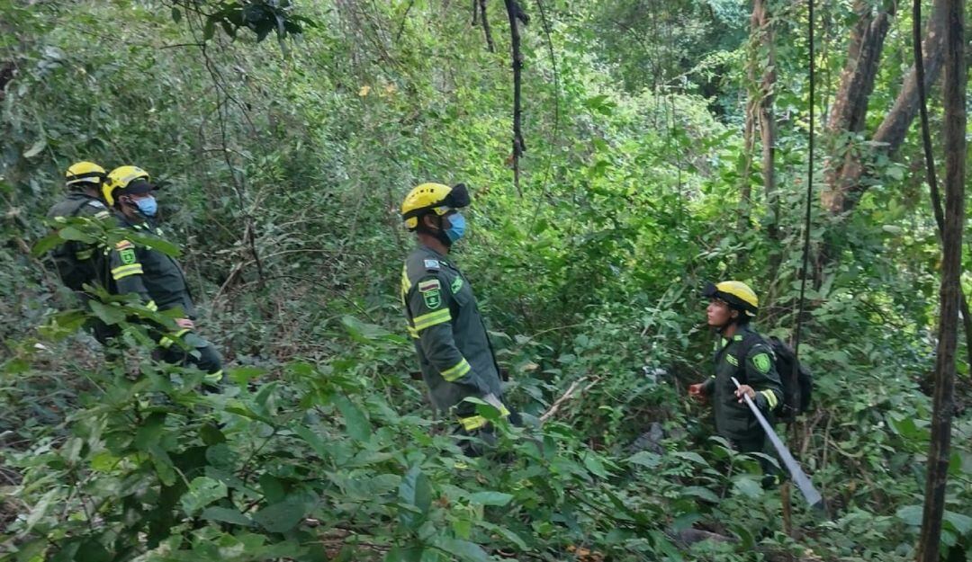 Momentos en el que inició la búsqueda