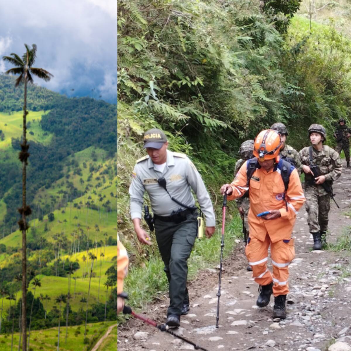 Autoridades de riesgo alertan por aumento de casos de extraviados en el Valle de Cocora en Quindío