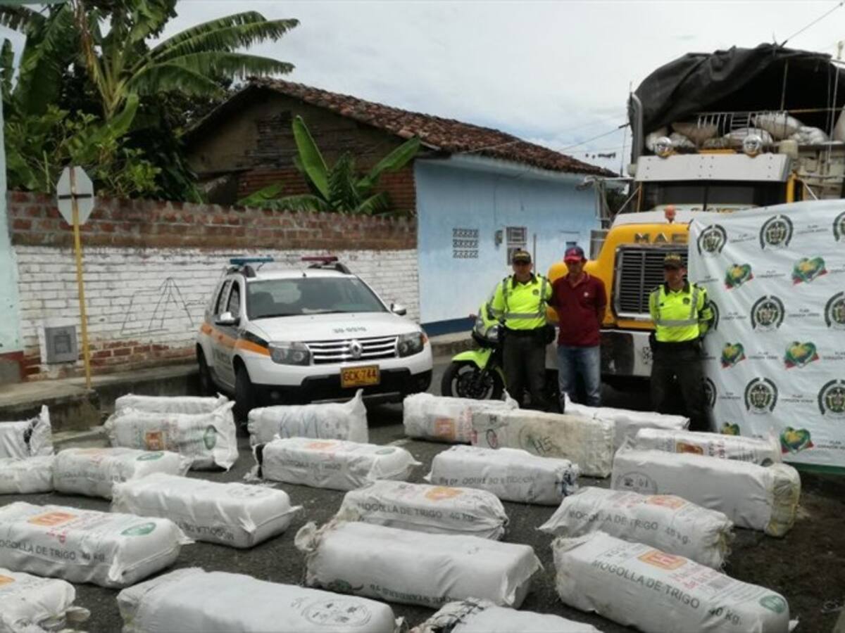 Incautan más de una tonelada de marihuana tipo creepy en el Valle del Cauca