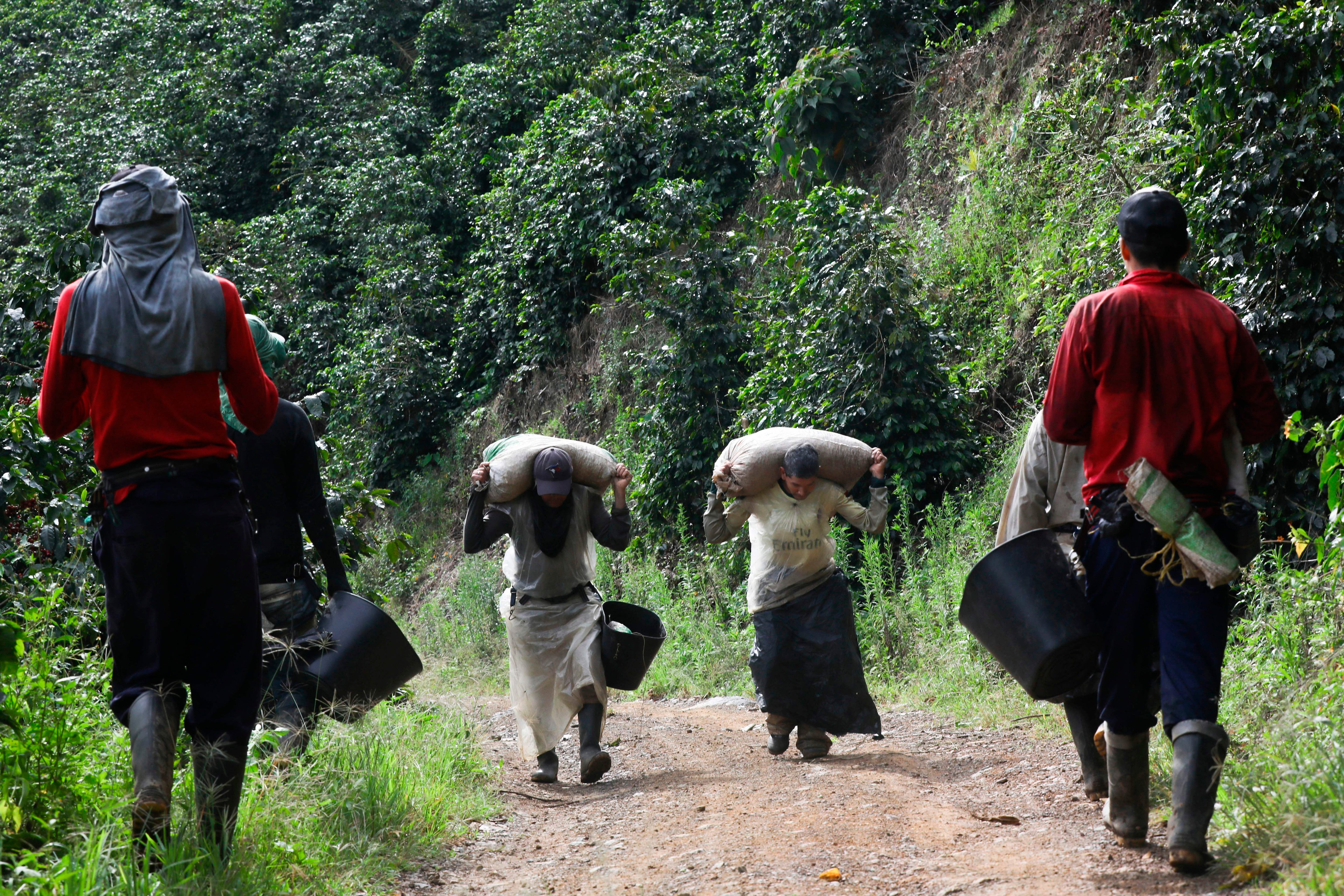 La Oficina de Naciones Unidas para la Coordinación de Asuntos Humanitarios alertó que grupos armados irregulares no permiten la movilidad ni la llegada de alimentos a distintos municipios de Bolívar.
(Foto:    JOAQUIN SARMIENTO/AFP via Getty Images)
