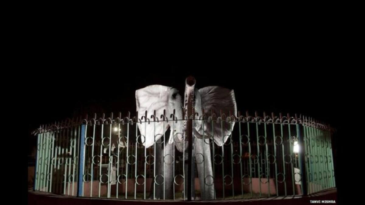 La empresa estatal de electricidad Thermal Power Corporation, una de las numerosas empresas energéticas que operan en la región, fue la que puso en marcha este inusual "zoológico".