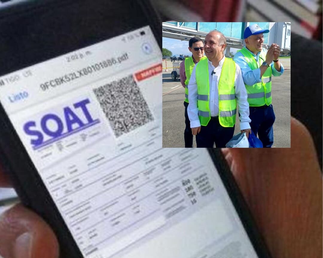 Soat, Ministro de Transporte Guillermo Reyes