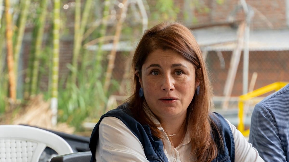 “El nuevo magistrado de la Corte Constitucional no puede tener relación con el Gobierno”: Iris Marín