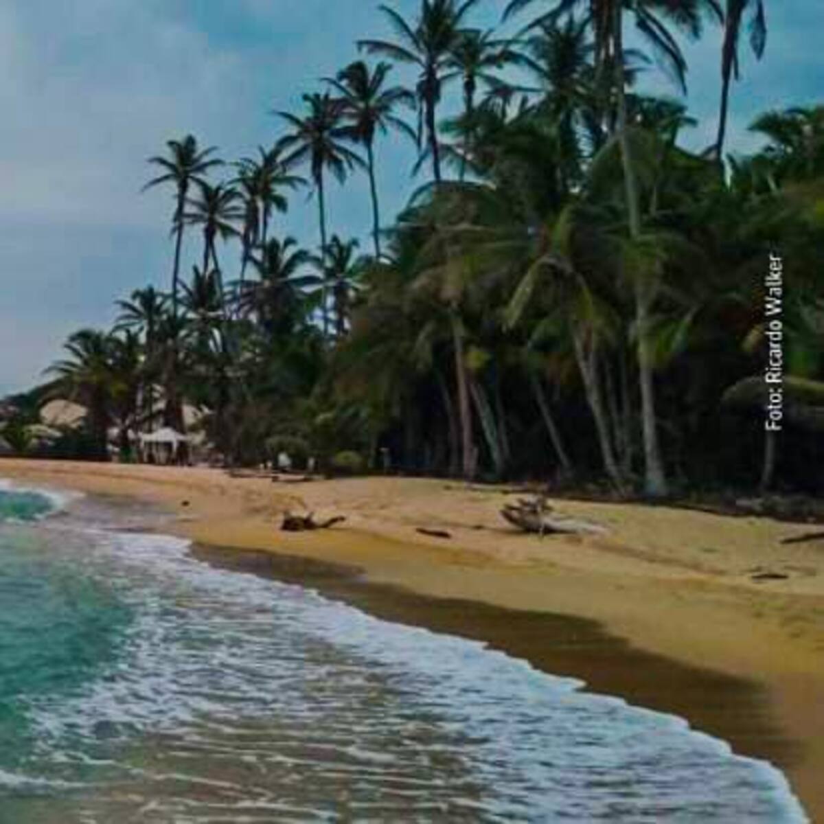Denuncian falta de gobernabilidad del Estado en situación de seguridad en el Parque Tayrona