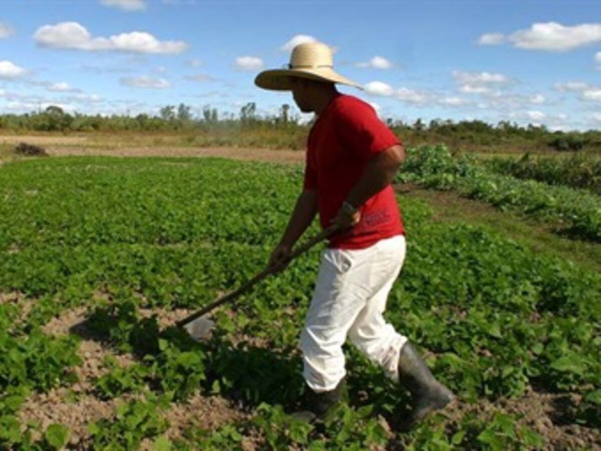 Santos anunció una profunda restructuración del programa Agro Ingreso Seguro