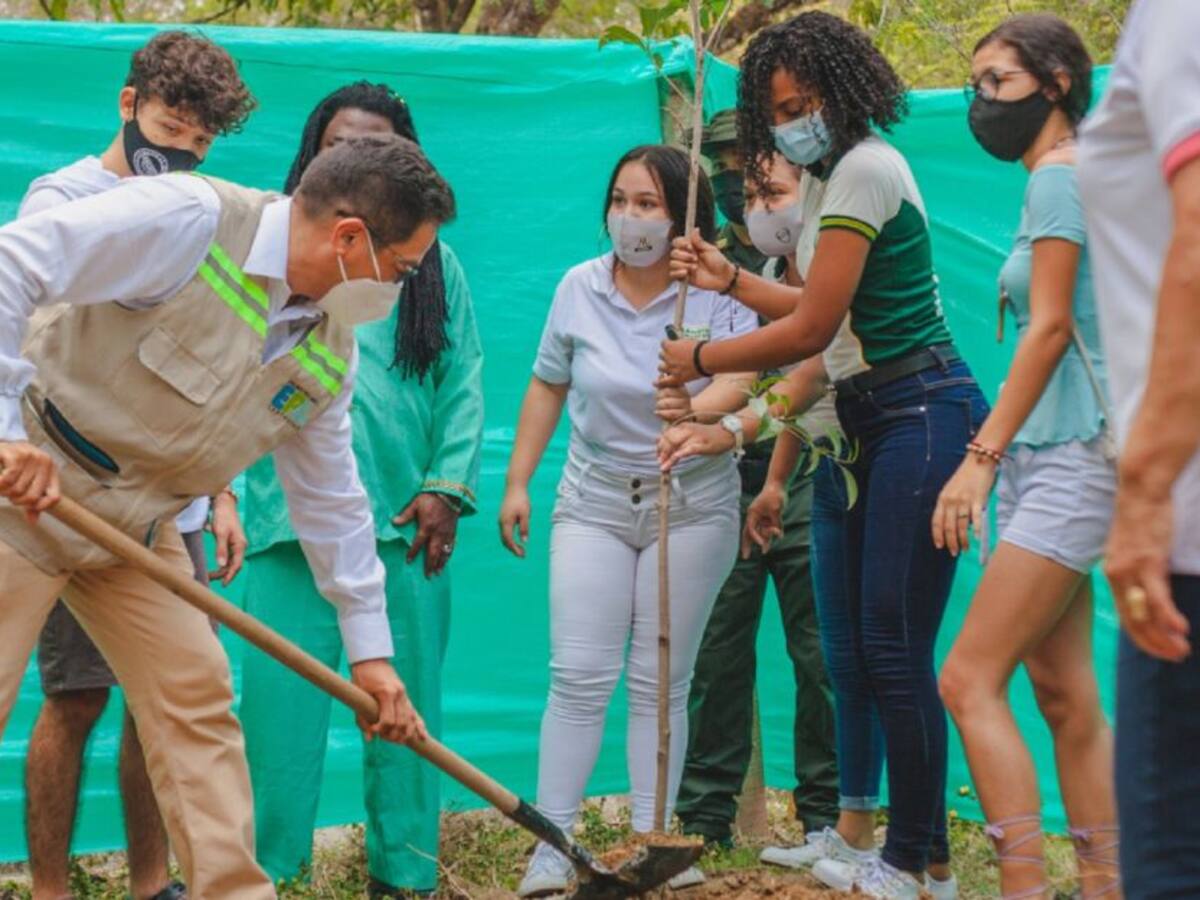 Más de 500 árboles fueron sembrados en Cartagena