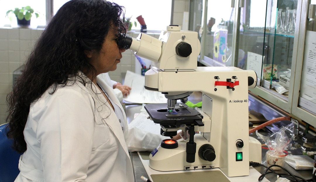 Microscopio. 