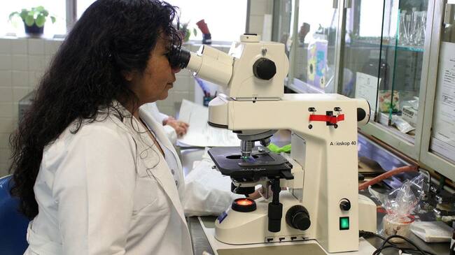 Microscopio.