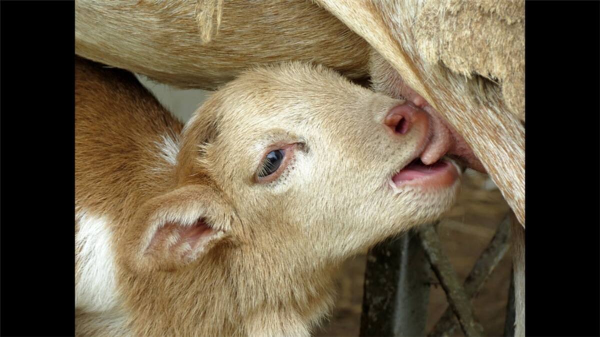 Durante agosto uno de los temas fue "Esquinas". Alfredo Ramírez: “Esta esquina pertenece al casco histórico de la época de la colonia. Las fachadas se pintan de colores y se mantienen decoradas para que los turistas conozcan este hermoso pueblo de la zona norte costera del estado Anzoátegui, Venezuela”.