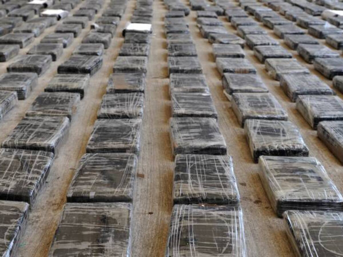 EE.UU. tiene un gran corresponsabilidad en el incremento de cultivos de Coca: Santos