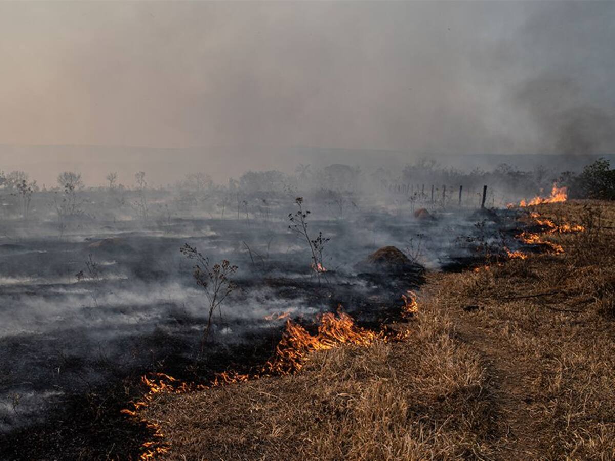 Quemas, contribuyen al aumento de temperatura y pérdida de biodiversidad