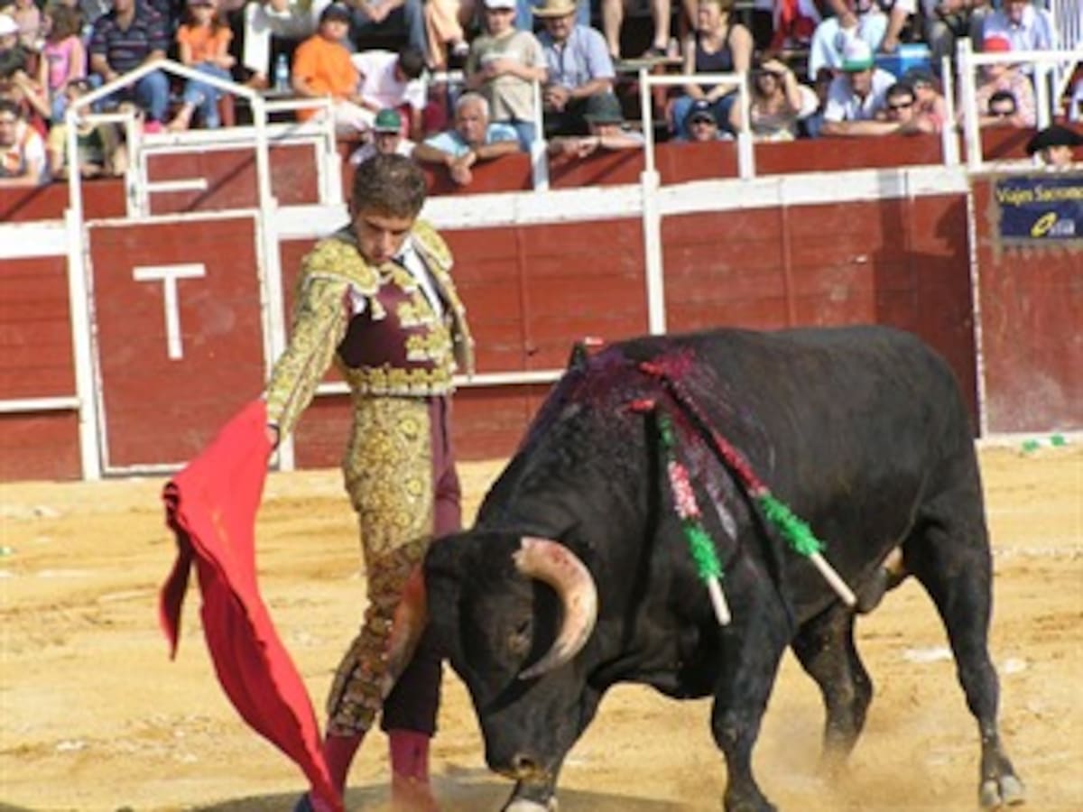 Consejo de Estado rechaza corridas de toros