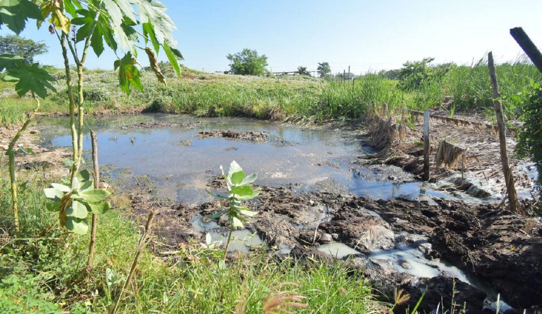 Vertimientos de líquidos contaminantes generados por el lavadero