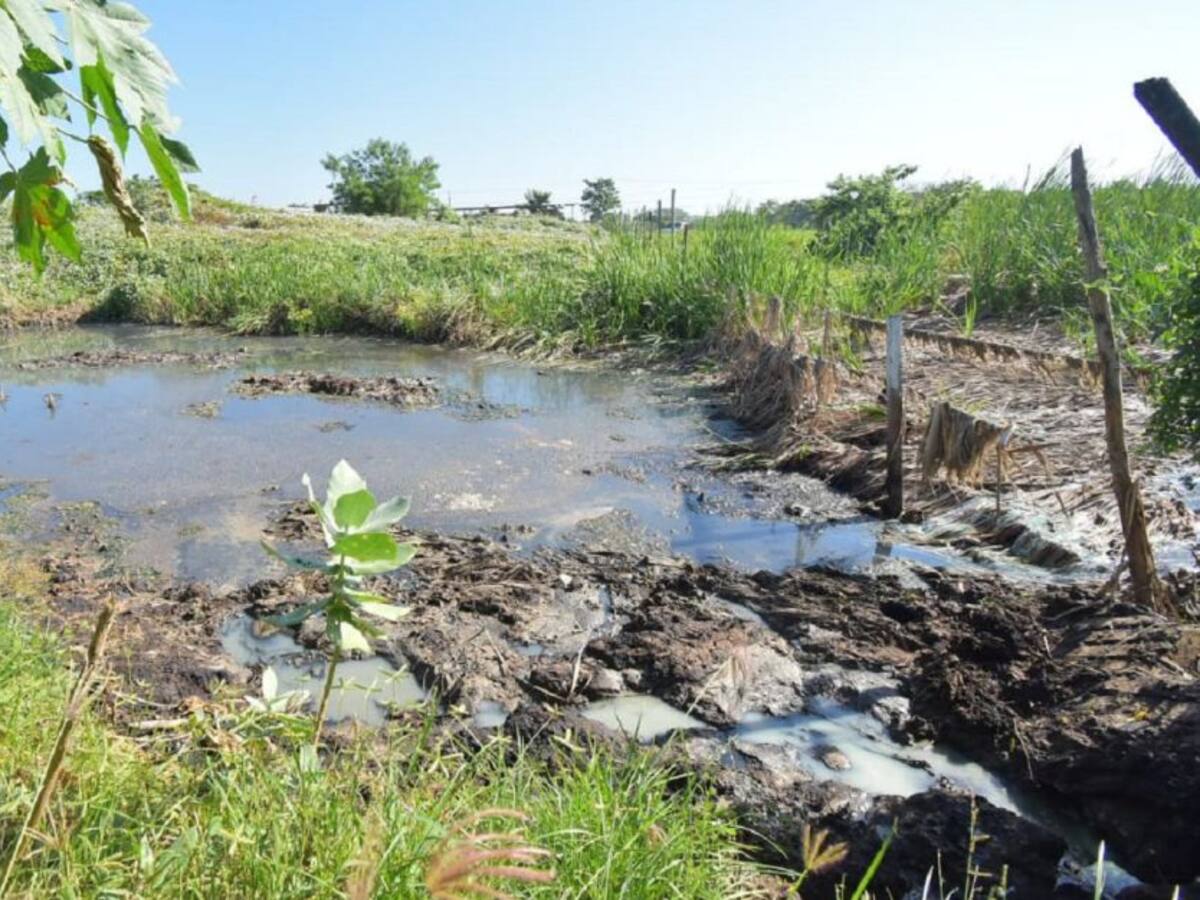 Suspenden labores en lavadero que afecta caño en el sur de Cartagena