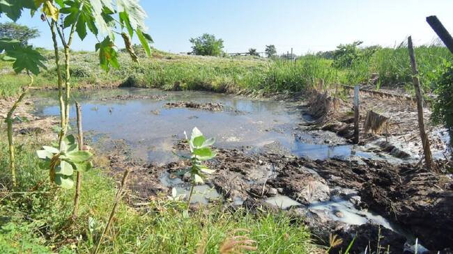 Vertimientos de líquidos contaminantes generados por el lavadero