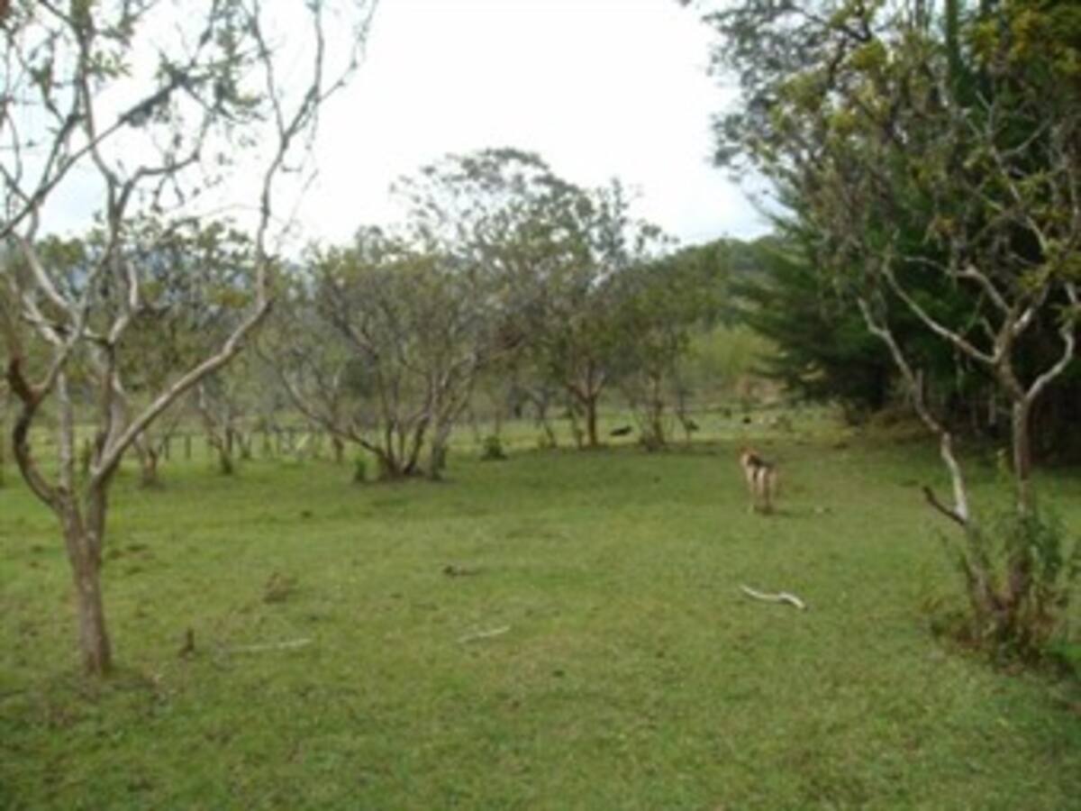 Trasladan a Bogotá investigación por robo de tierras en Antioquia