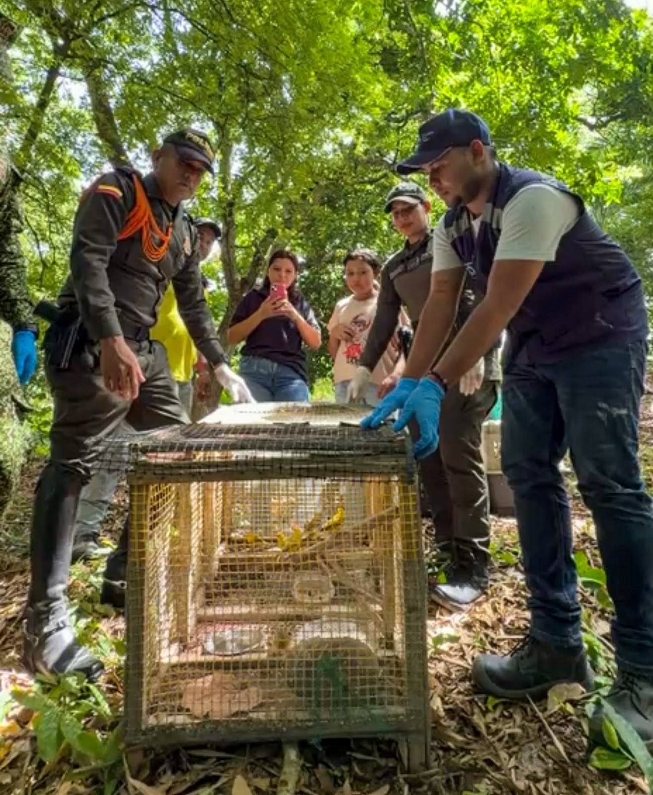 1.389 especies de fauna silvestre han sido liberadas en la jurisdicción de la Mecar
