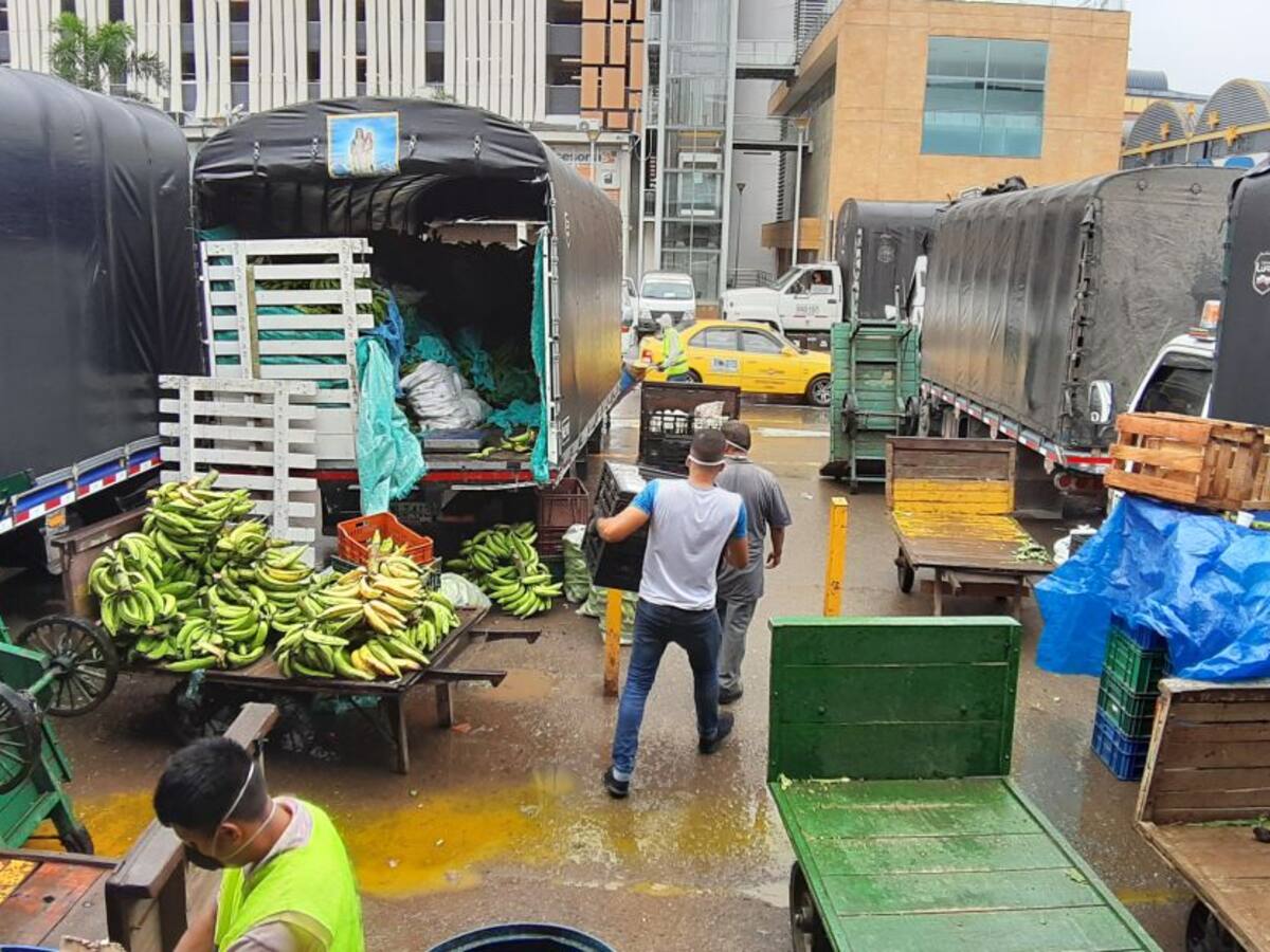 Imputan cargos a exfuncionarios de Medellín por lote de la Mayorista