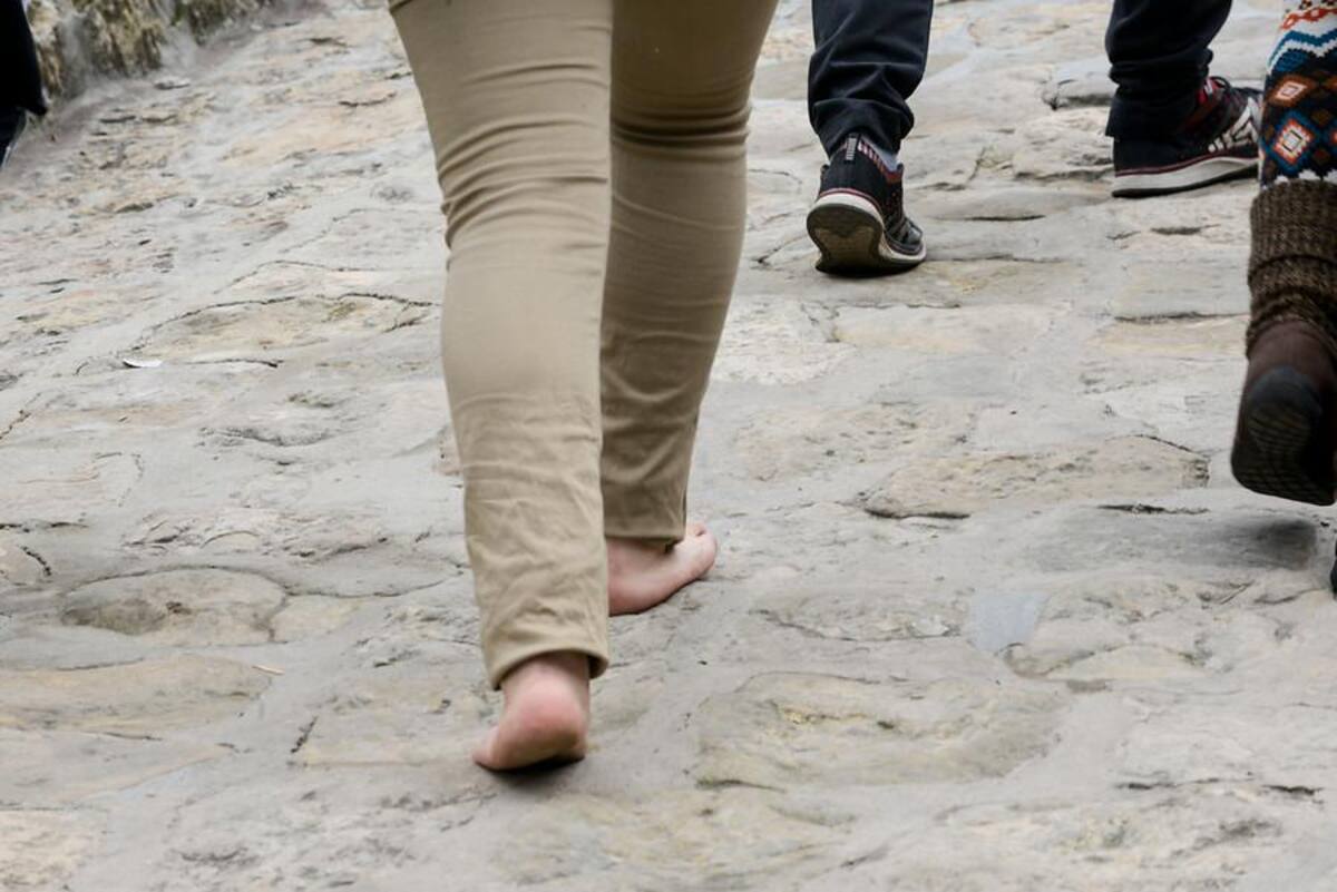 Se han registrado miles de visitantes, un promedio de 3.000 personas por hora, es decir unos 50 personas por minuto. Se espera que el total de las visitas sea alrededor de 65.000.