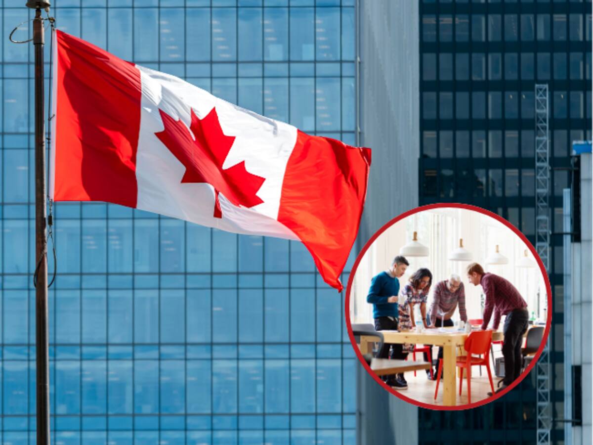 Abren vacantes en Canadá: Estos son los perfiles solicitados y fecha límite para aplicar