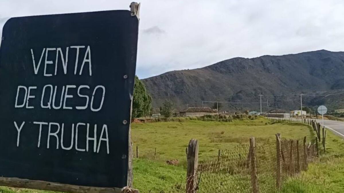 “Estamos olvidados por el gobierno”: María Díaz comerciante en vía Cusiana