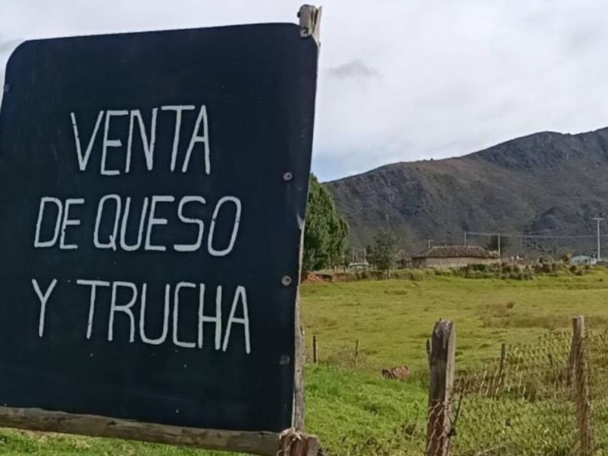 “Estamos olvidados por el gobierno”: María Díaz comerciante en vía Cusiana