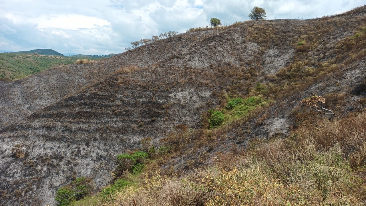 El Huila presenta una condición de alerta por la ocurrencia de incendios forestales en 28 municipios.