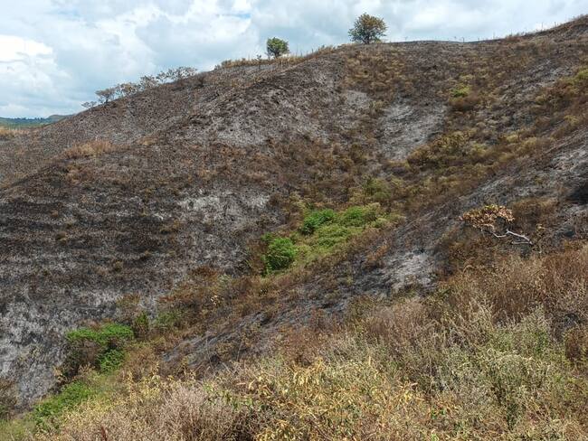 El Huila presenta una condición de alerta por la ocurrencia de incendios forestales en 28 municipios.