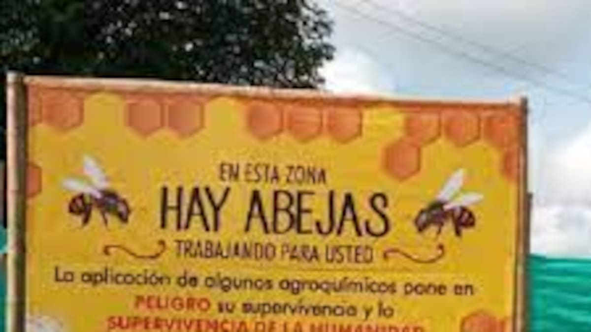 Abdón Salazar apicultor del departamento