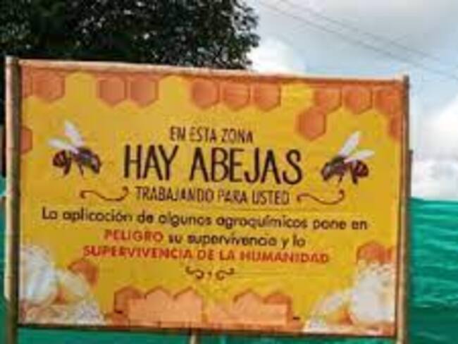 Abdón Salazar apicultor del departamento