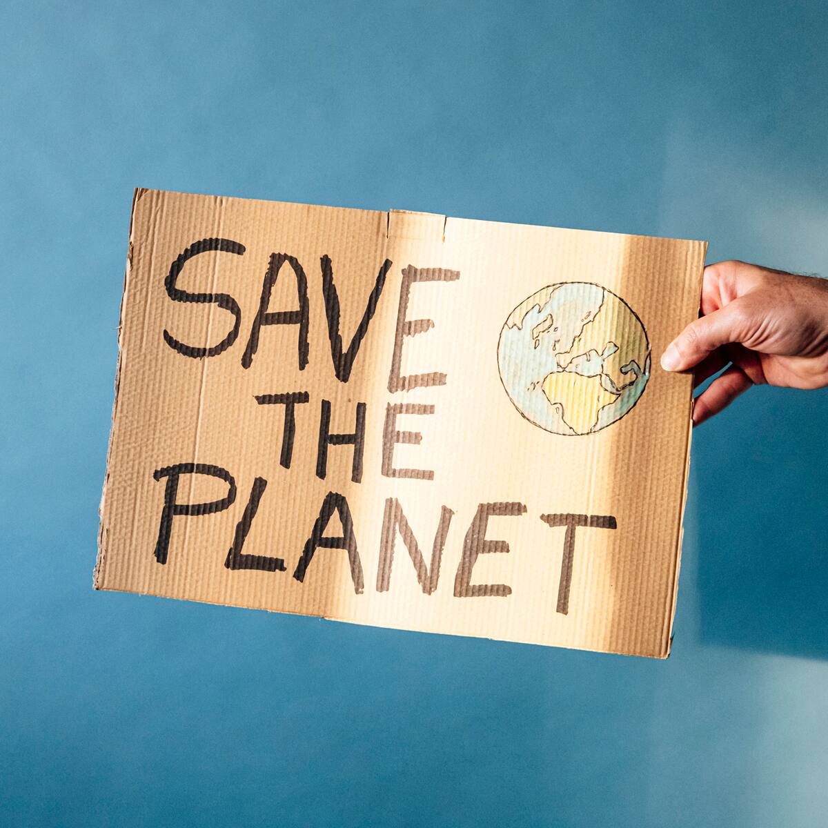 Hay que vivir con las consecuencias del cambio climático: paleoclimatóloga