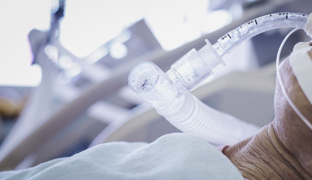 Imagen de referencia