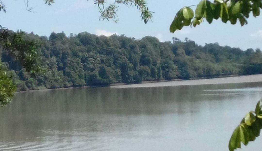 Imagen de referencia