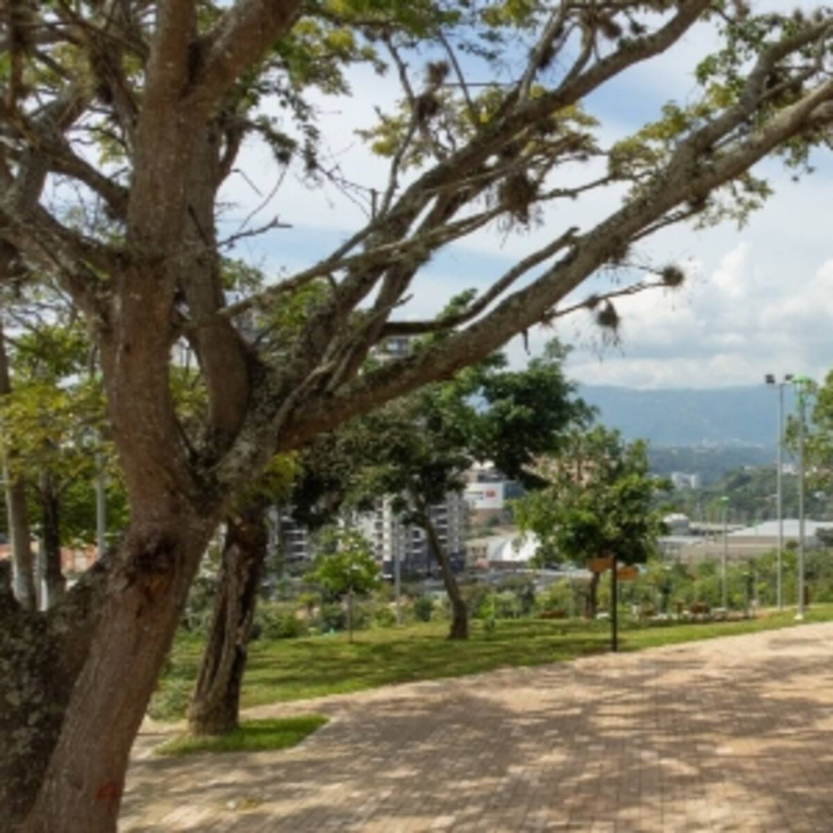 Lagos del Cacique estrena parque