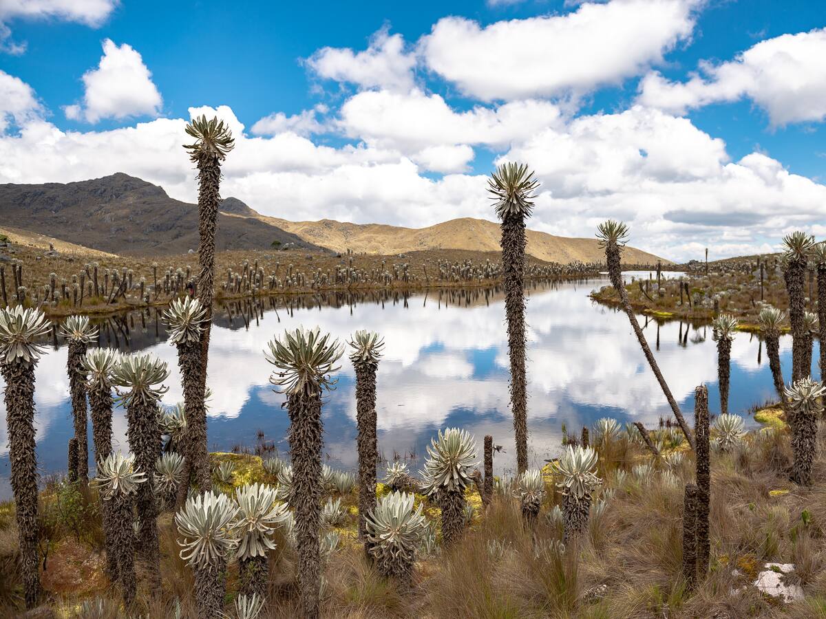 Bavaria abre convocatoria para emprendimientos colombianos que aporten a la sostenibilidad