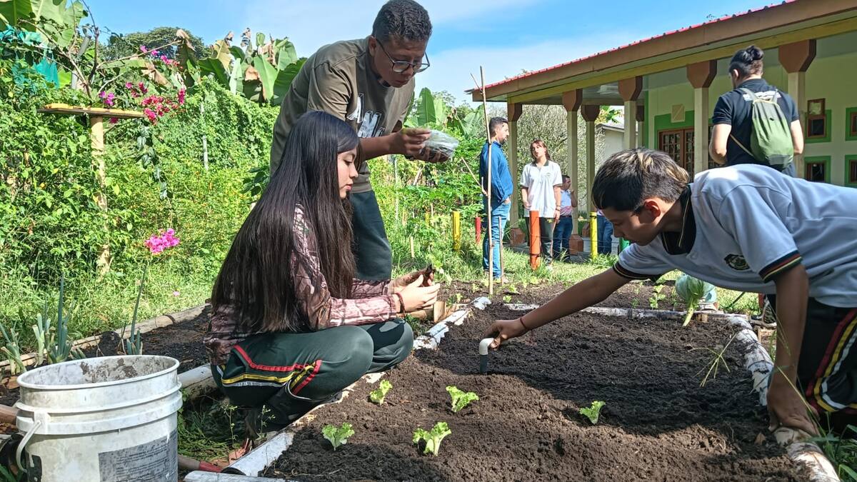 Informe huertas escolares en Quindío